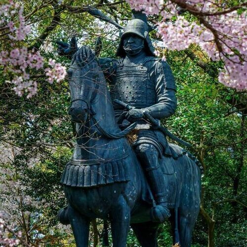 藤堂高虎像と桜