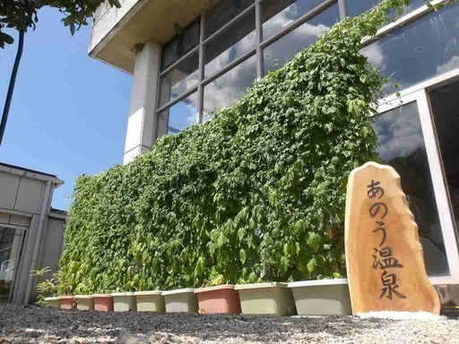 写真:グリーンのカーテン 津市安濃交流会館(あのう温泉)