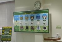 写真：リサイクルの流れ