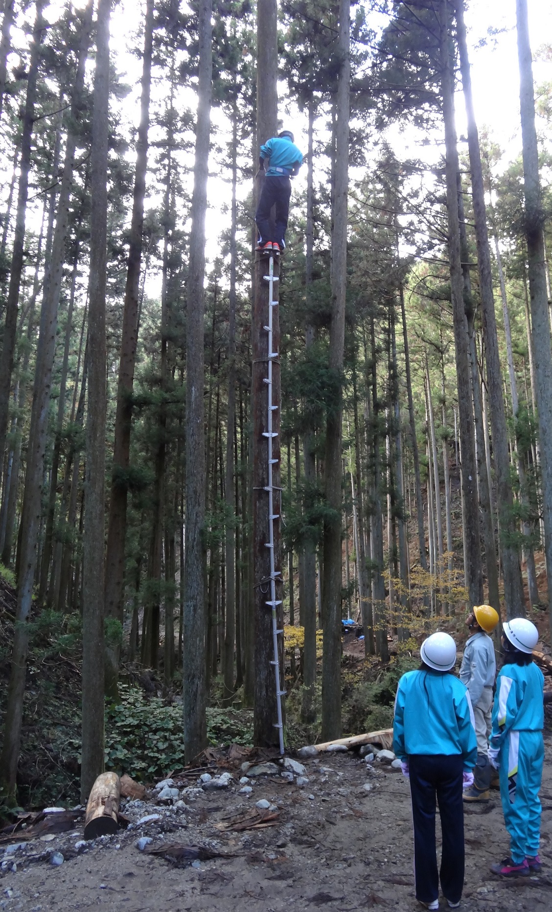 写真：林業体験