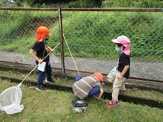 写真：虫を捕まえている様子