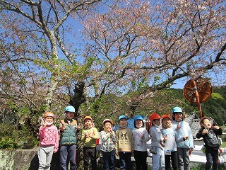 写真：お散歩の様子