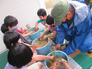 写真：田植え体験