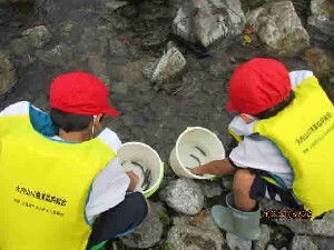 写真:美杉小学校1
