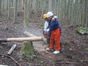 写真:美杉中学校1
