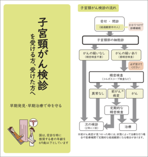 写真：子宮頸がん検診パンフレット