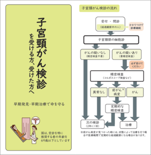 写真:子宮頸がん検診パンフレット