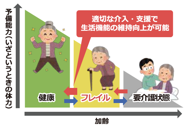 イラスト：フレイルイメージ