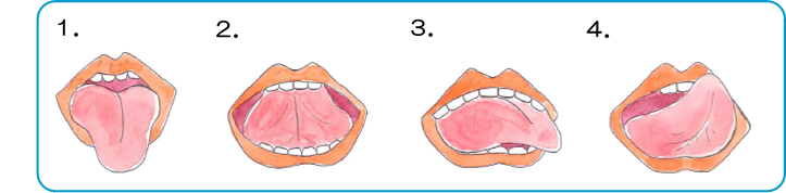 イラスト:舌のストレッチ