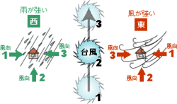 イラスト：台風の風