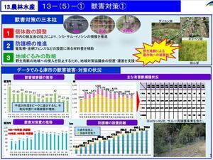 写真：津市政策集　獣害対策（1）