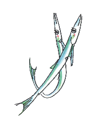 イラスト：小女子