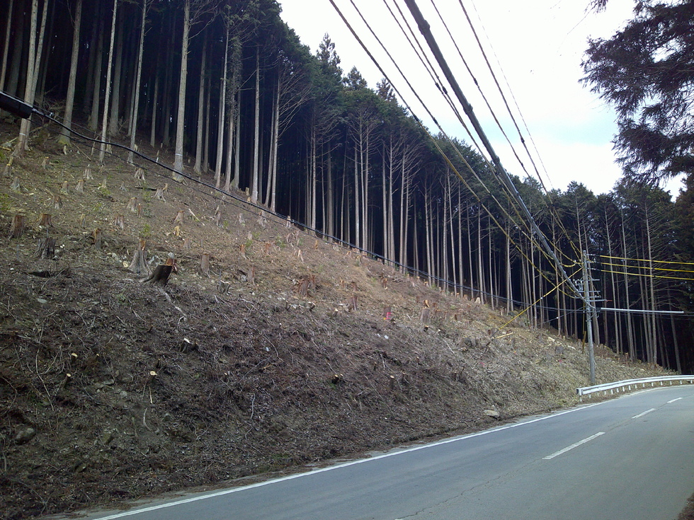 写真:ライフライン2