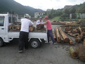 写真:木の駅美杉木材市場