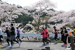 写真：大会の様子4