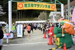 写真：龍王ちゃん