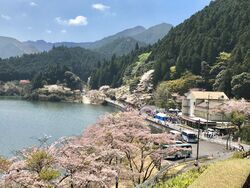 写真：大会の様子1