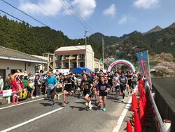 写真：大会の様子3