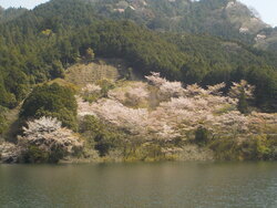 写真：大会の様子6