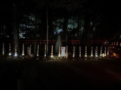 写真:名勝北畠氏館跡庭園ライトアップ1