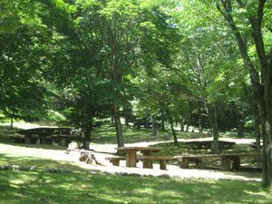 写真:テント台付きサイト1