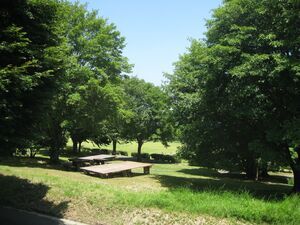 写真:テント台付きサイト2