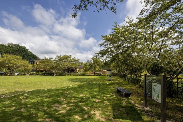 写真:キャンプ場1