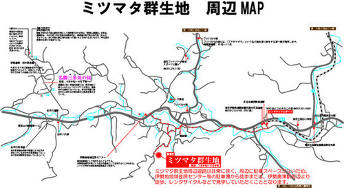 地図：ミツマタ群生地周辺