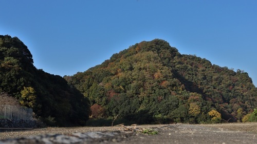 写真:紅葉状況 MAP-1