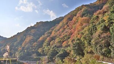 写真:紅葉状況 MAP-2-1