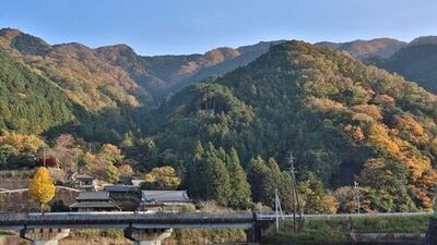 写真:紅葉状況 MAP-2-2