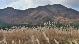 写真:紅葉状況 MAP-5-1