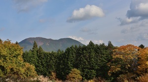 写真:紅葉状況 MAP-5-3