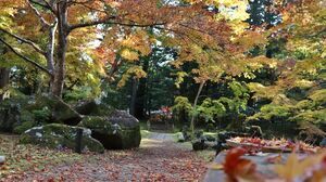 写真:紅葉状況 MAP-6-1