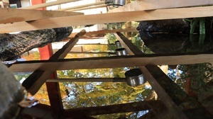 写真:紅葉状況 MAP-6-2