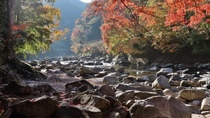 写真:紅葉状況 MAP-3-1