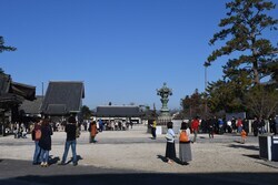 写真：高田本山専修寺でのロケの様子4