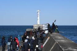 写真：阿漕浦海岸堤防でのロケの様子2