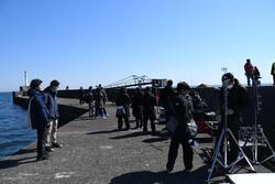 写真：阿漕浦海岸堤防でのロケの様子4