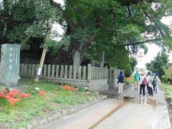 写真：岩屋不動　見学の様子