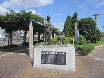 写真：上野英三郎博士とハチ公の像