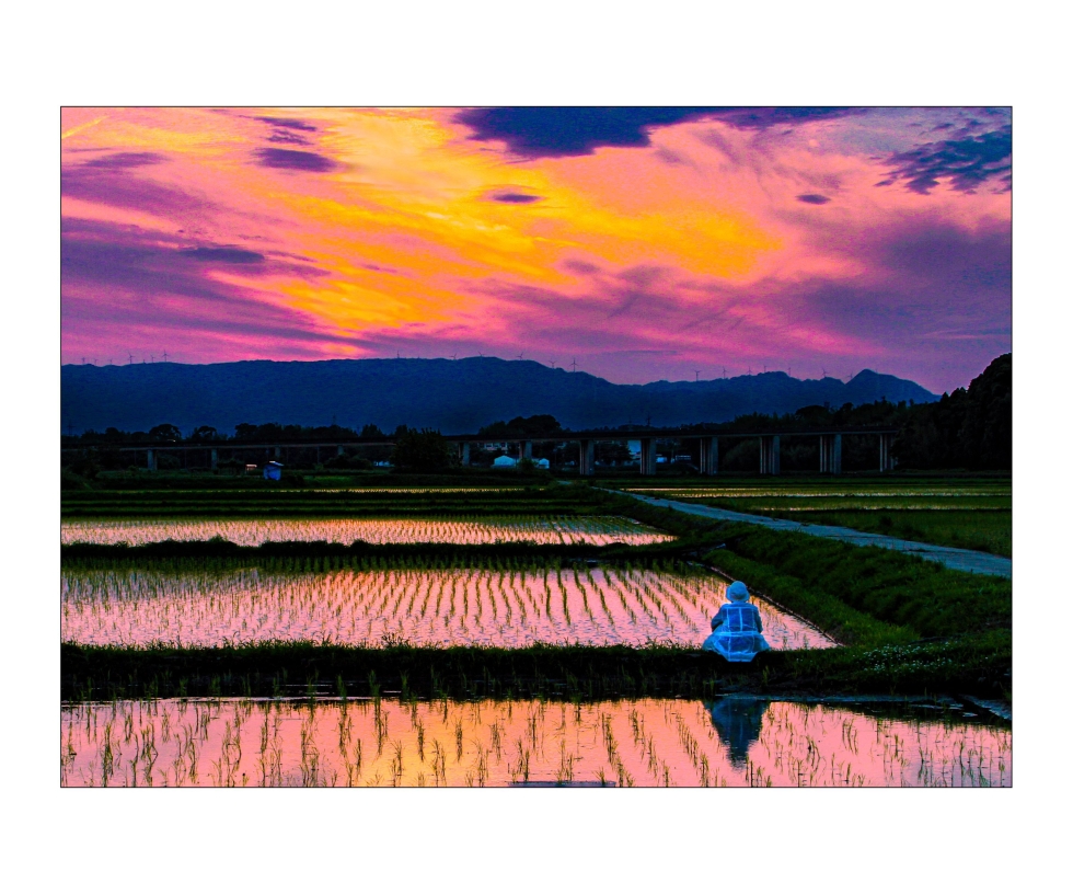 写真：最優秀賞作品