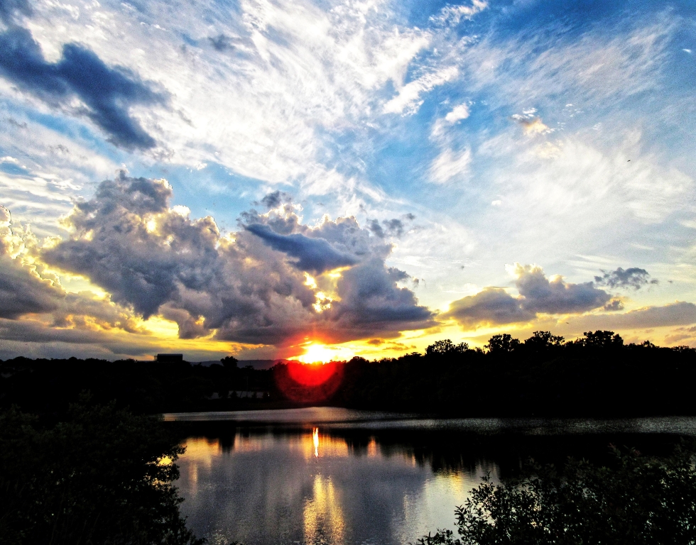 写真：優秀賞作品1