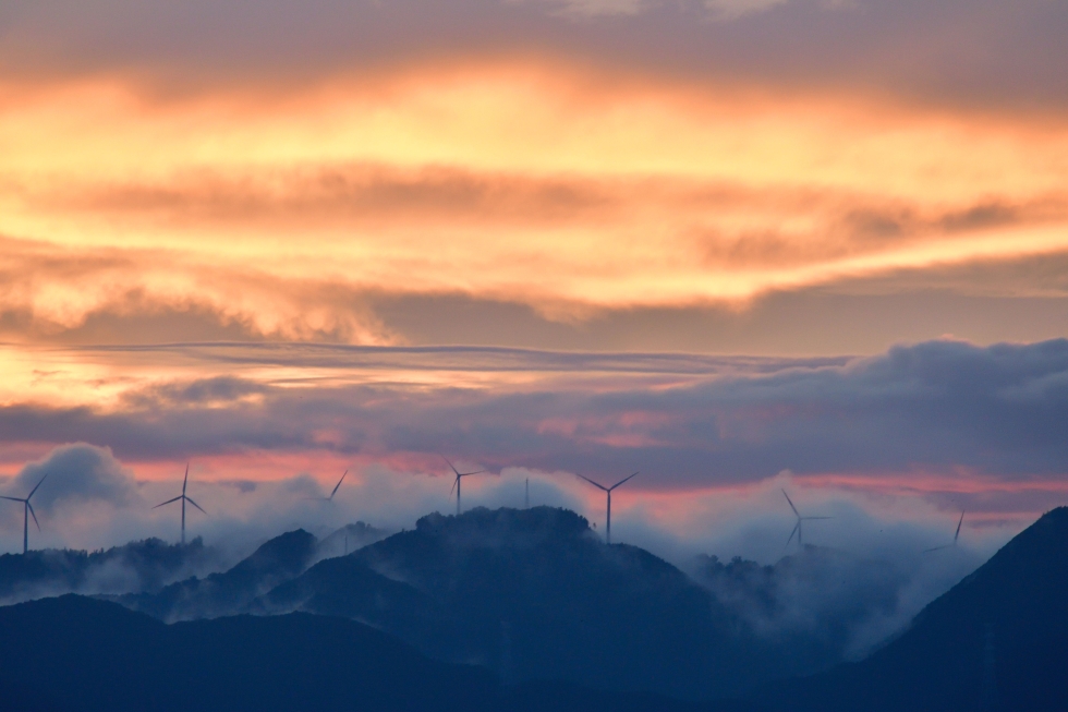 写真：入選作品2