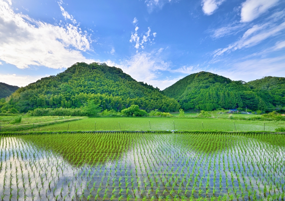 写真：佳作作品1