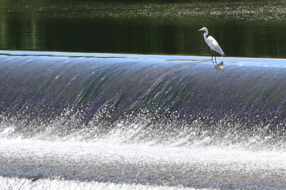 写真：佳作作品5