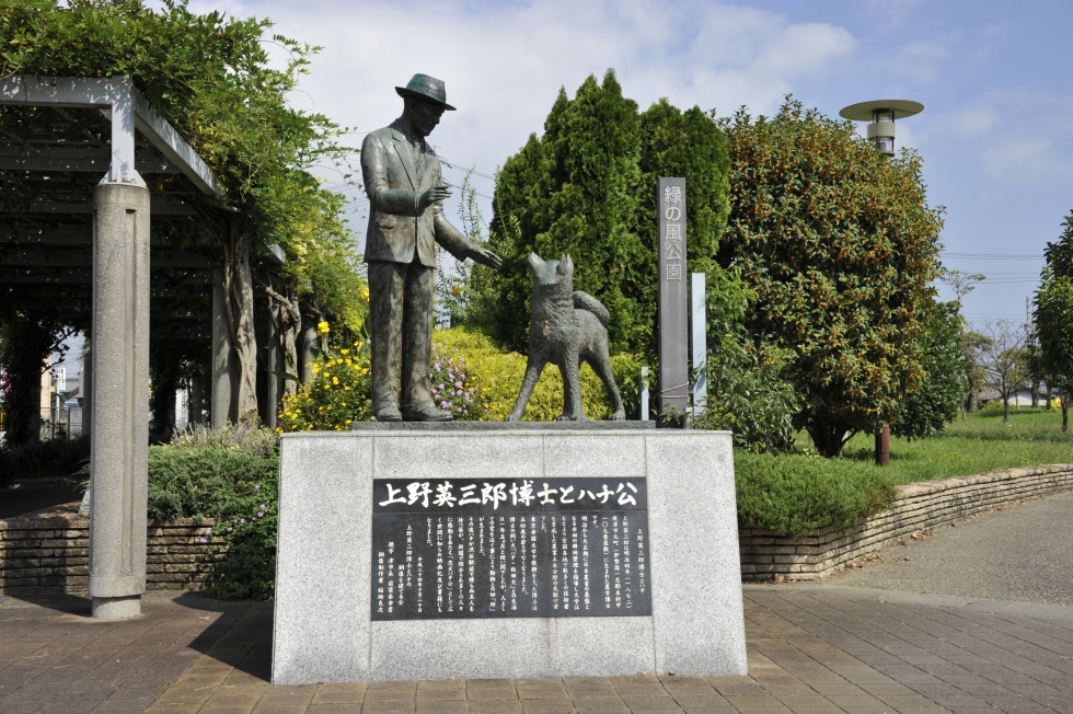 写真：佳作作品6