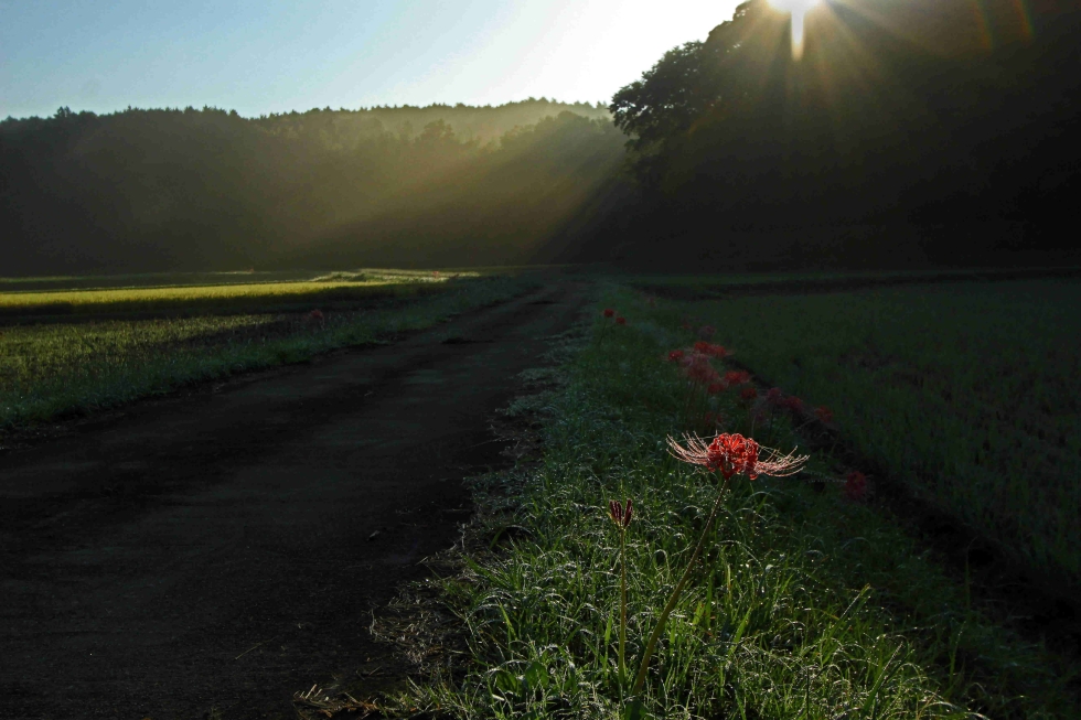 写真：佳作作品7