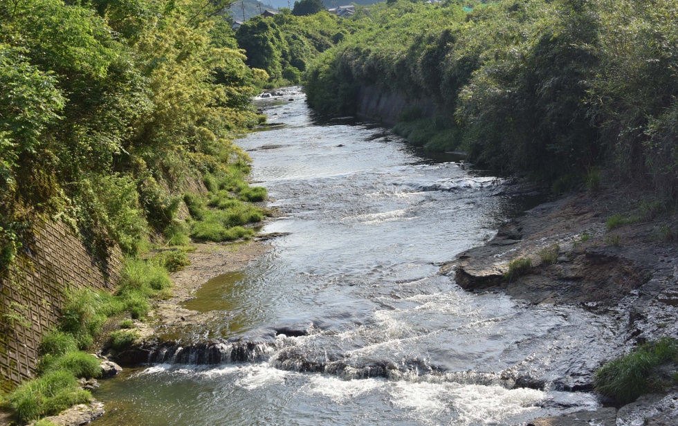 写真：佳作作品8