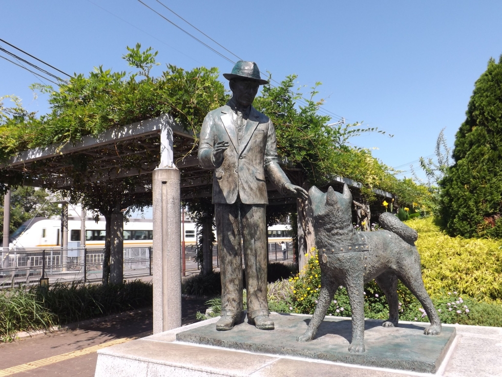 写真：佳作作品9